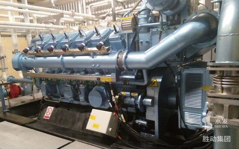 勝動（dòng）集團（tuán）