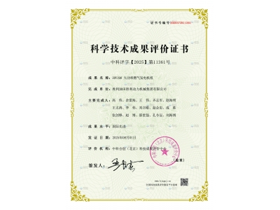 勝動（dòng）集團公（gōng）司20V190 大功率燃氣發電機組通過（guò）國際先進水平鑒定