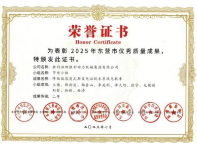 勝動（dòng）集團公司QC成果獲佳績