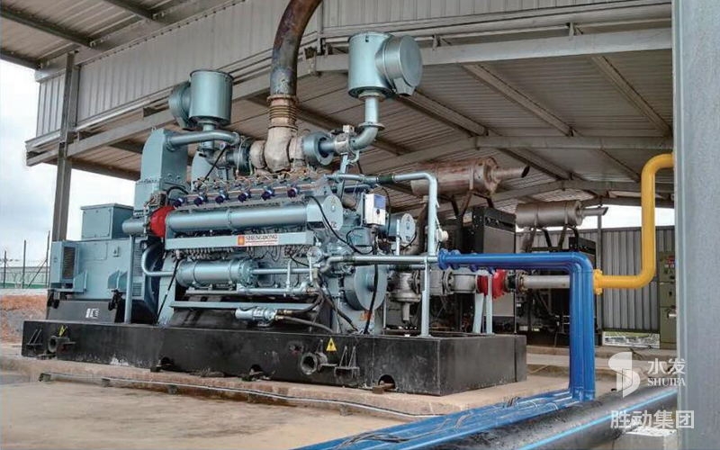 泰國正大（dà）集團發電項目